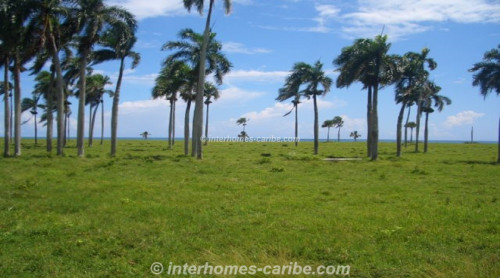 photos for LAS CANAS: LOT WITH 388 m SEAFRONT